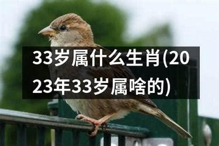 22年33岁属什么生肖