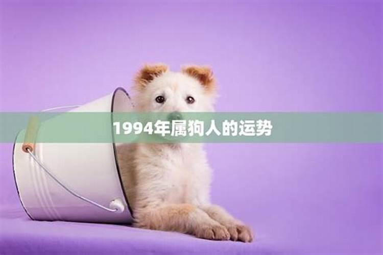 1994年属狗人的运程