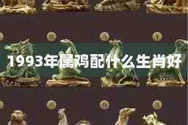 1993年属什么生肖