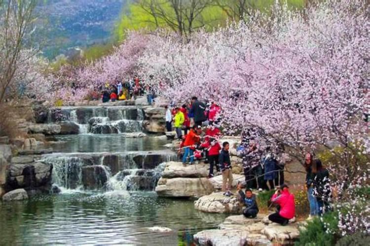 涿州清明节习俗