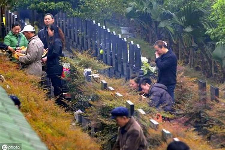 农村清明节祭祖方法