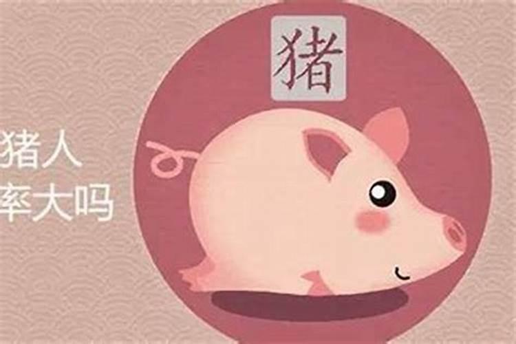 属猪的今年3月份运程如何