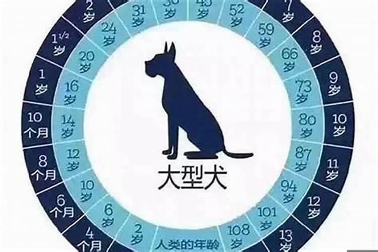 属相蛇会不会犯太岁呀