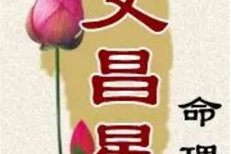 什么叫金命八字