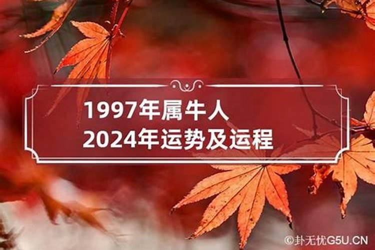 2024年犯太岁的几个生肖是什么