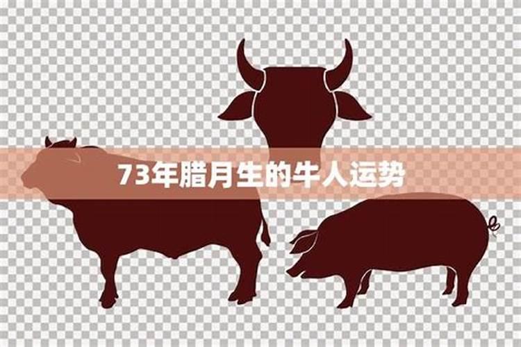 农历7月几号是鬼节日