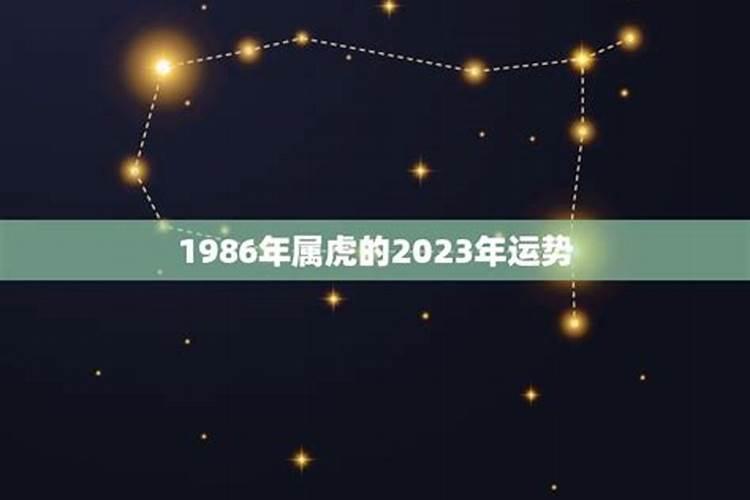 1967年农历6月13号是什么星座