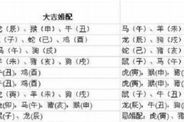 97年上一轮牛属相是几年