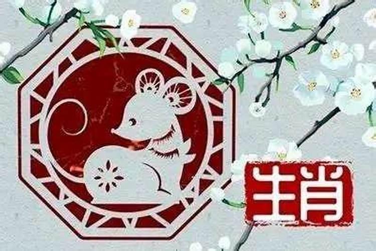 阳历11月13日出生是什么星座