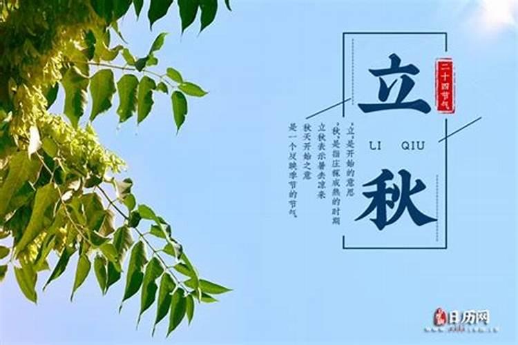 鼠和马今年运气怎么样