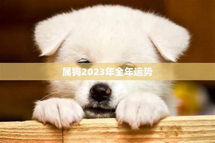 2023蛇人7月份运势如何