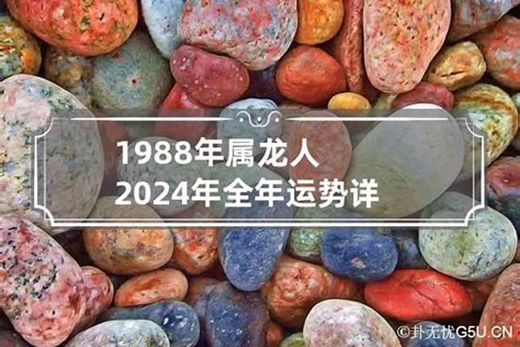 87属兔的2023年运势如何