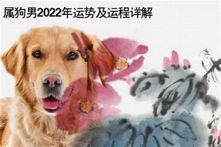 2023年属鸡人犯太岁吗