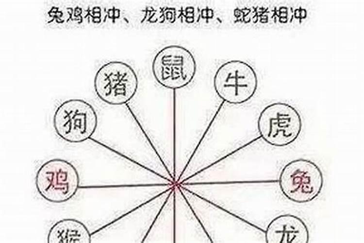 做梦梦见两条蛇是什么征兆还咬人