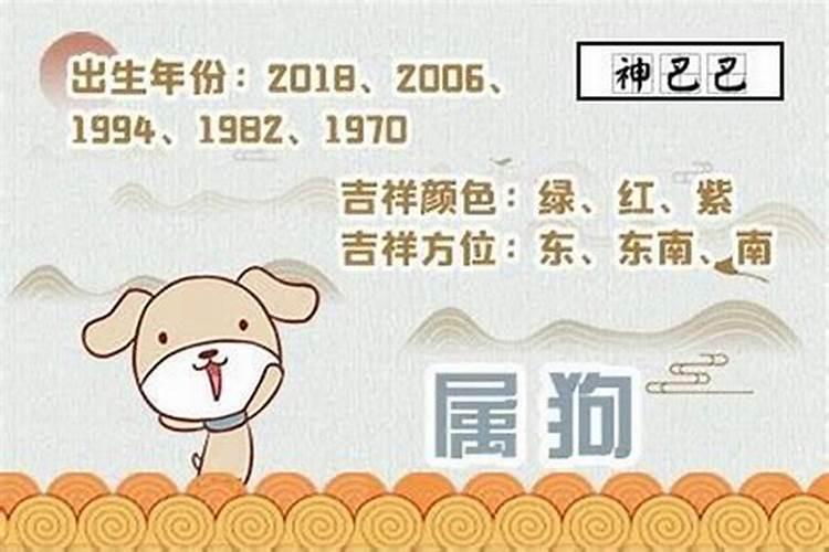 属兔的20年每月运势