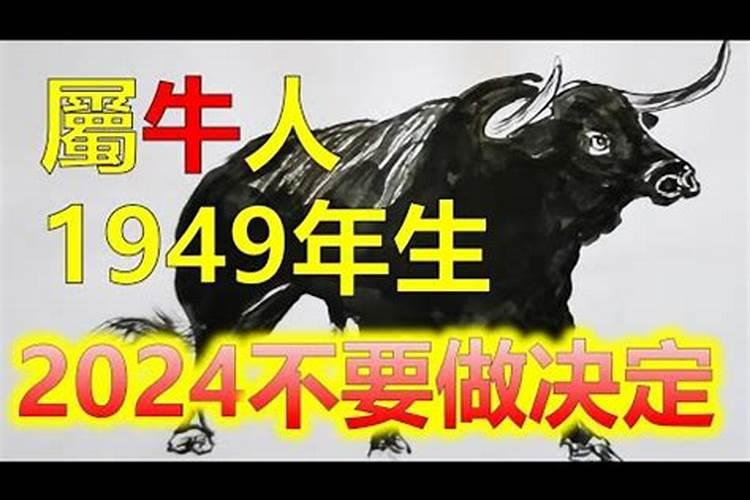 今年37岁属什么生肖属