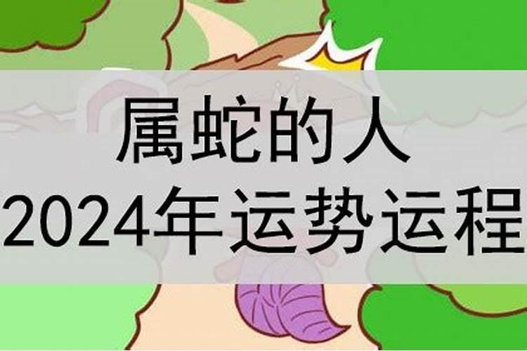 龙宫三太子是什么生肖