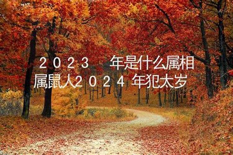 今年春节是哪一天2022