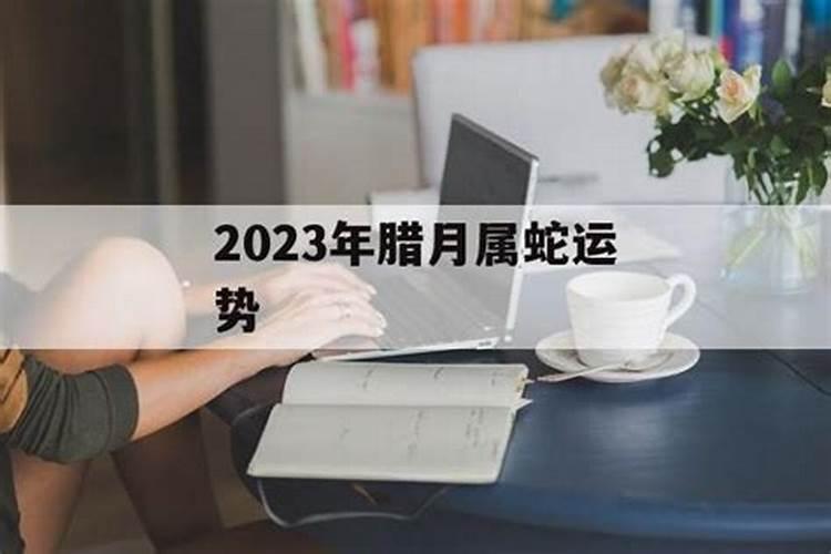 属龙人2023年运势怎么改变