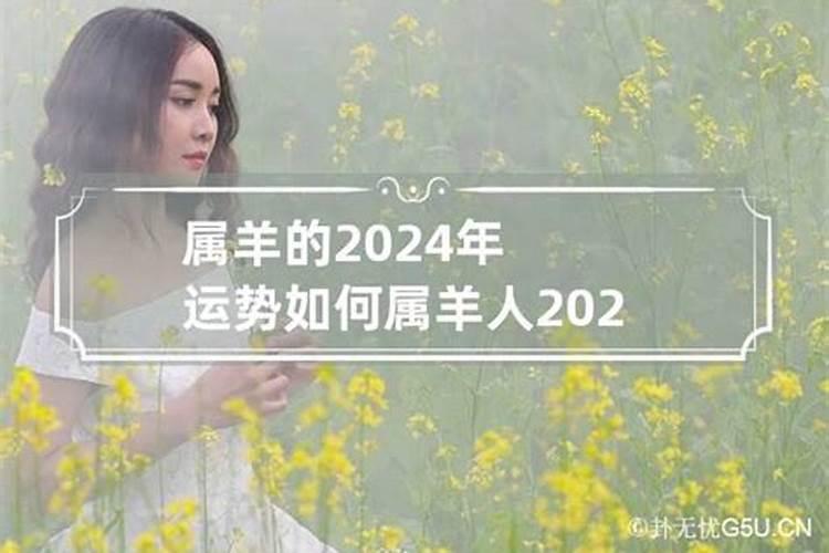 2023属猪的犯什么太岁