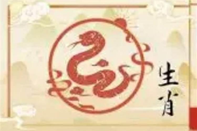 属虎今年几岁了