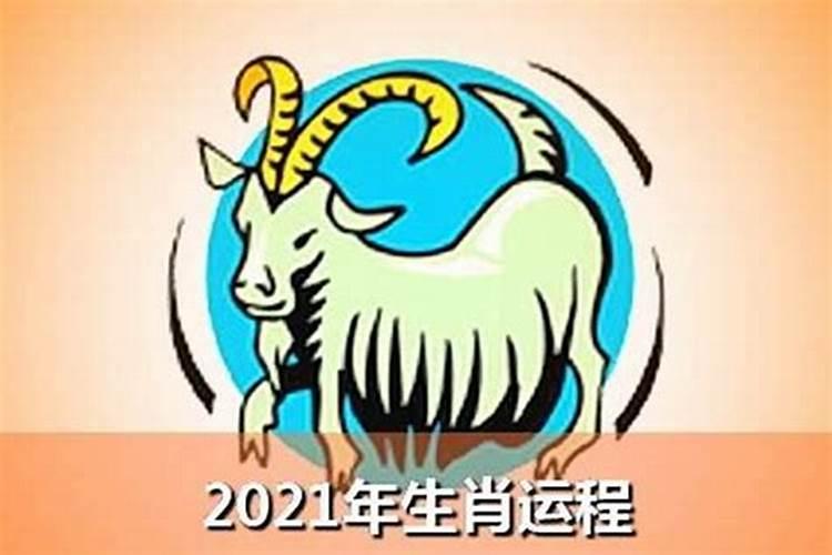 属羊2021年适合投资吗