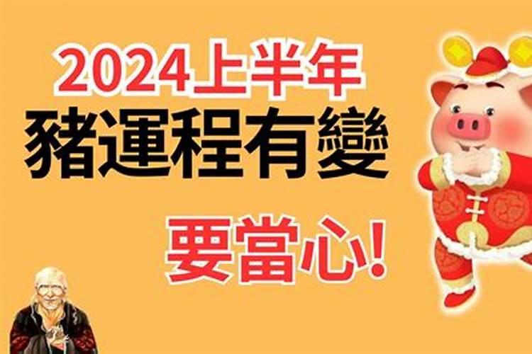 狗犯太岁化解方法2021年份