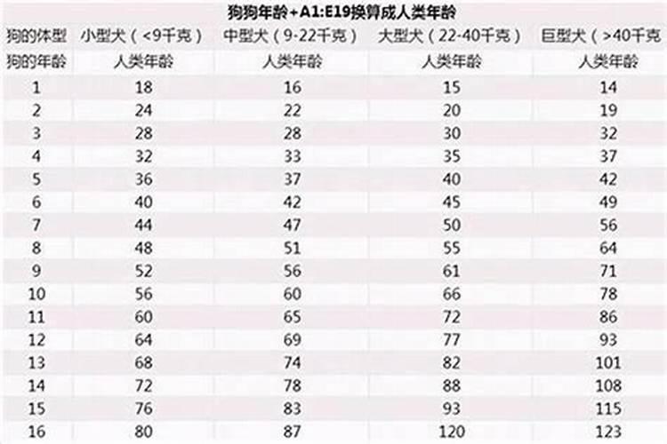 生肖猪破太岁怎样化解助考试