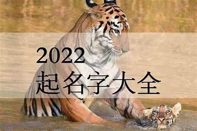 属猴2023年运势如何