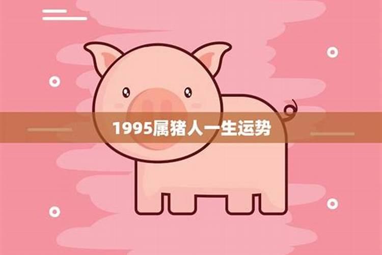 95猪人一生年运势运程