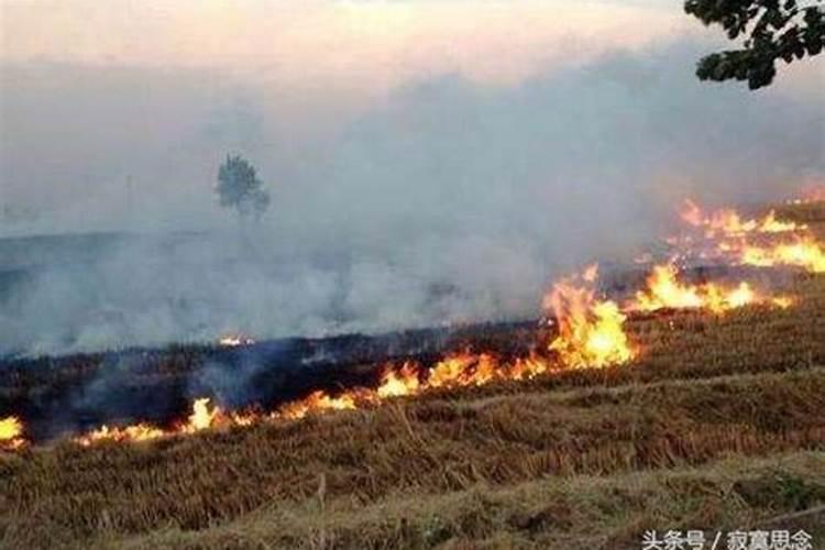 梦见别人家坟上起火了