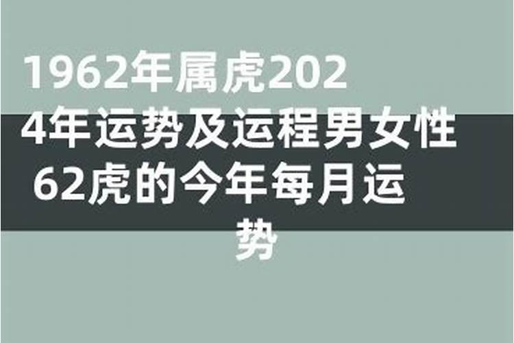 我跟厨房八字不合