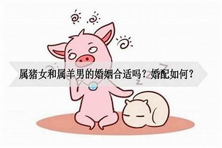 属兔的女和属猪男的相配吗