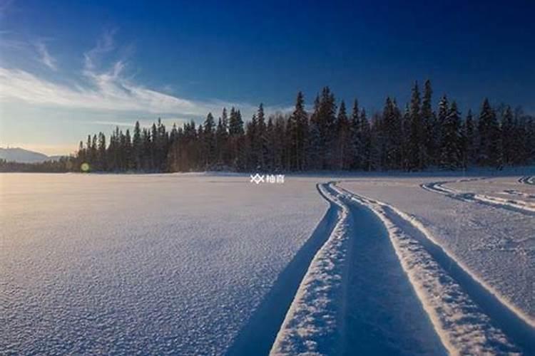 梦见大海边下雪结冰什么意思