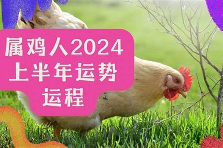 属牛猪的2023年运势如何