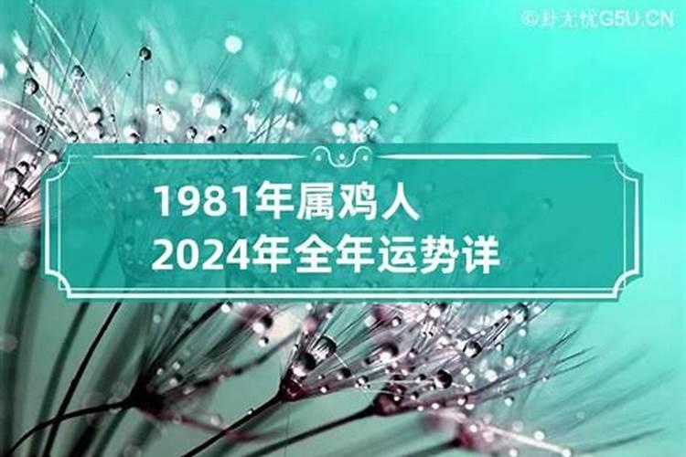 196几年属什么生肖兔