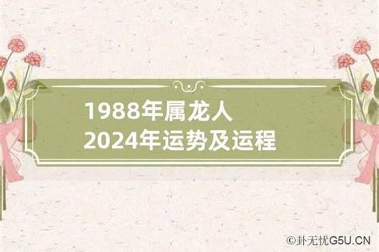 1976年的龙一生运势