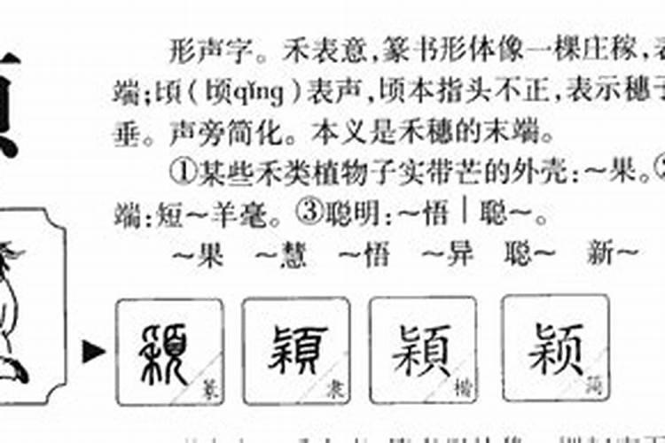 颖字取名五行属什么