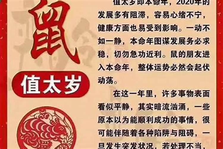 犯太岁害太岁：命理解析与应对之道