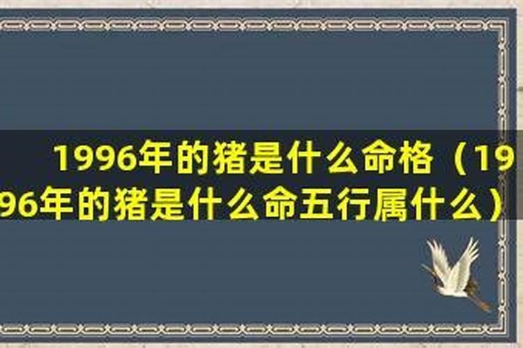 1996年出生是什么命格