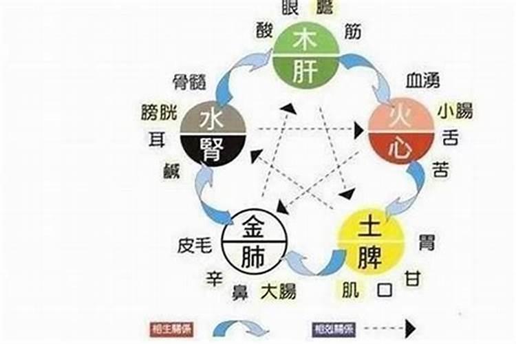 用字五行属什么行