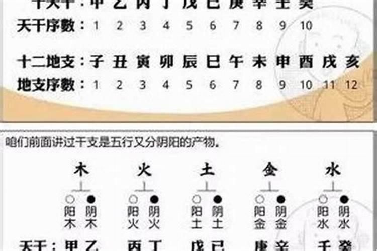 八字命宫解析寅宫