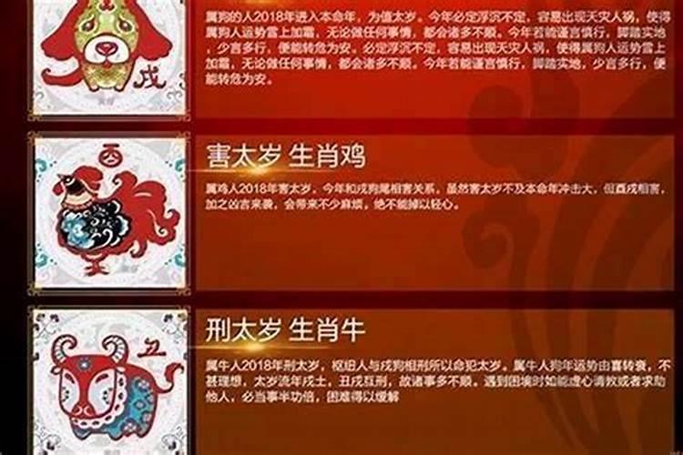 揭秘本命年：为何运气不佳？？