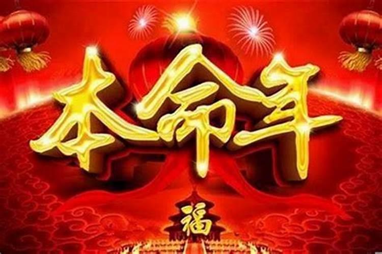 2023年兔年适合什么属相要宝宝