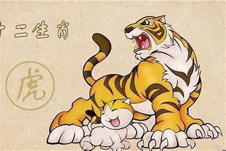 猴年是哪年属猴的年份