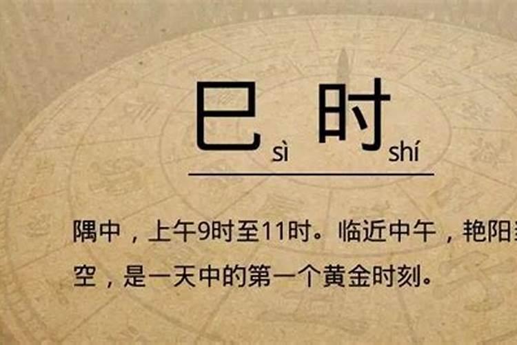 七点半属什么生肖