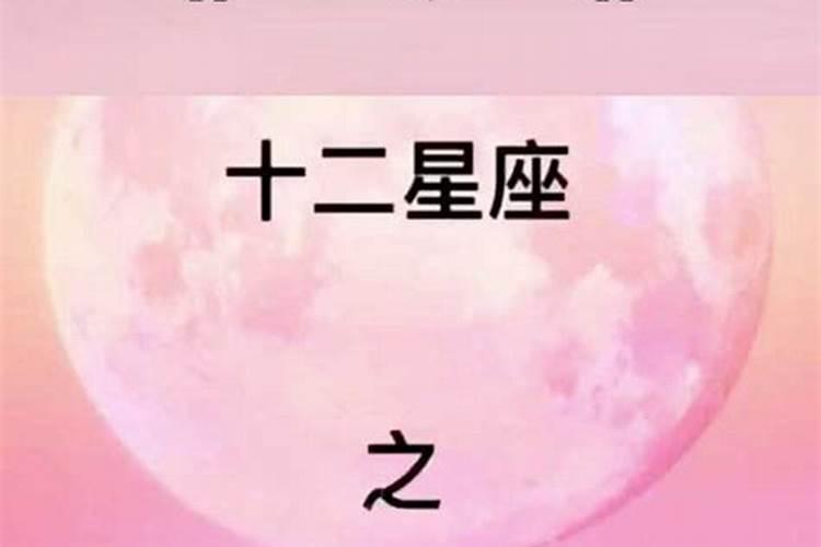 12星座对应的动物