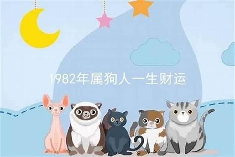 1982年属狗的人一生的命运