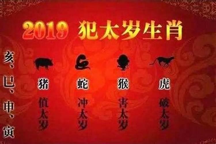 虎年今年犯太岁吗