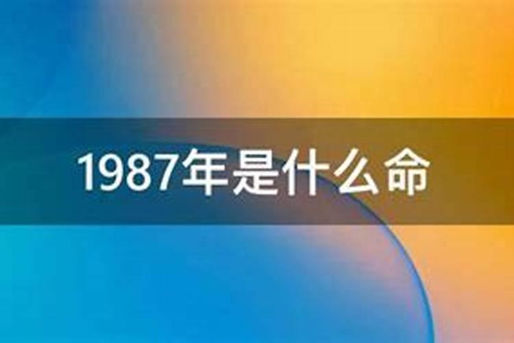 1987年属兔是什么命人